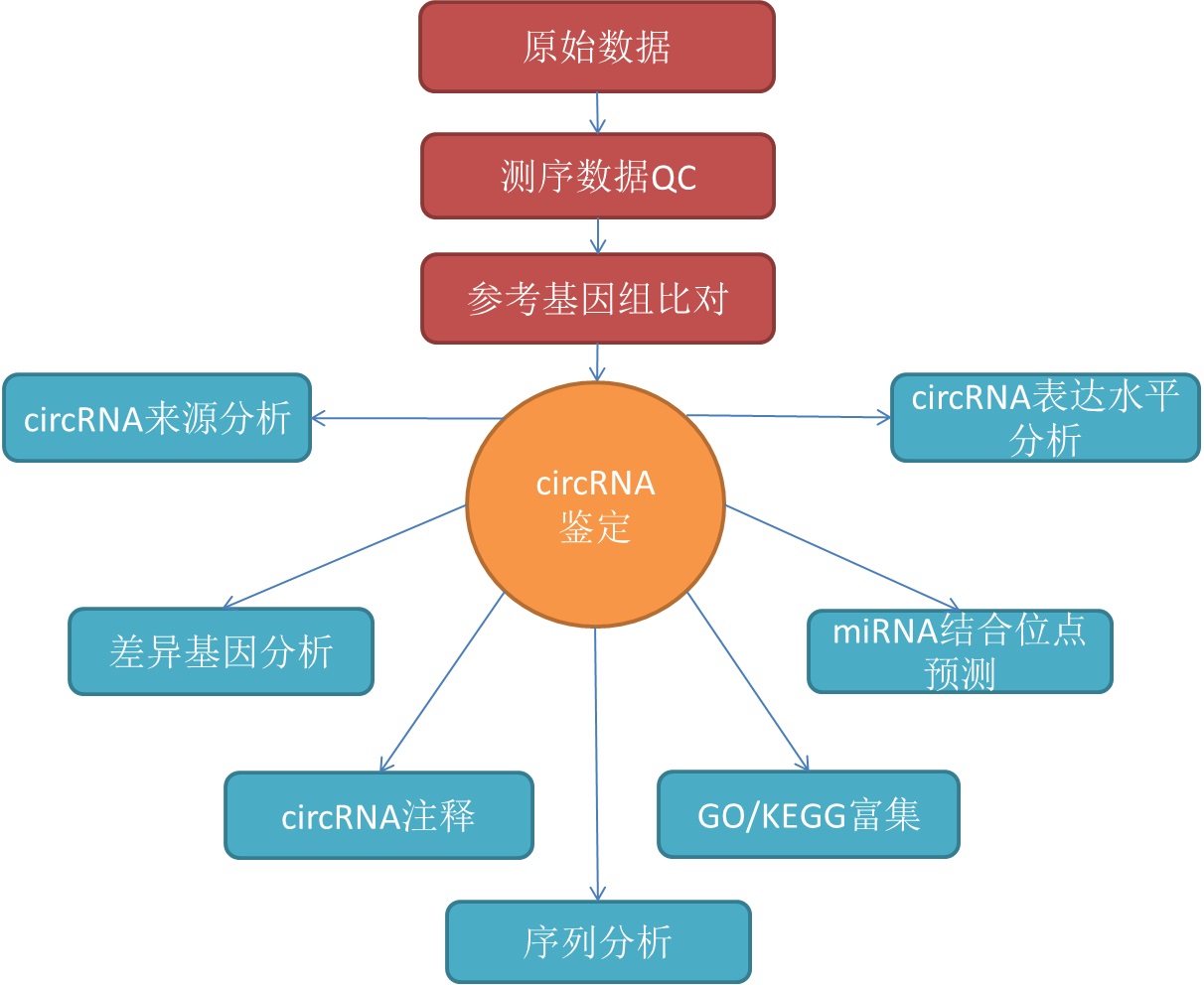 数据分析流程图